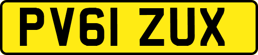 PV61ZUX