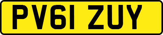 PV61ZUY
