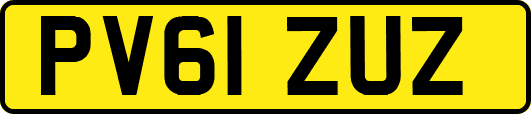PV61ZUZ