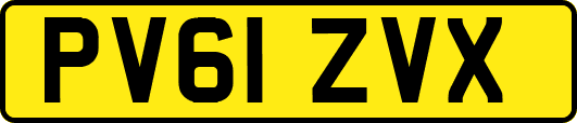 PV61ZVX