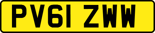 PV61ZWW