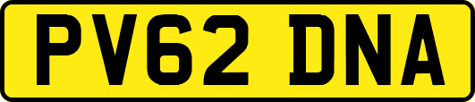 PV62DNA