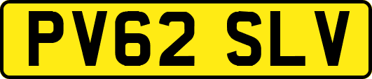 PV62SLV