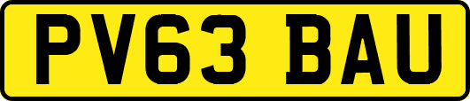 PV63BAU