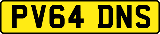 PV64DNS