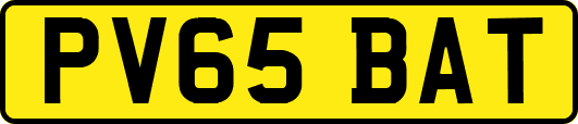 PV65BAT