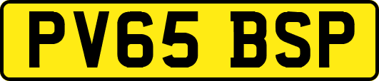 PV65BSP
