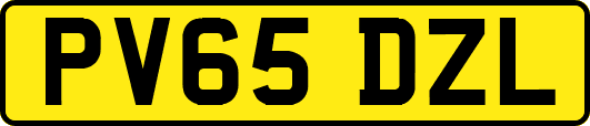 PV65DZL