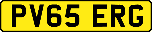PV65ERG