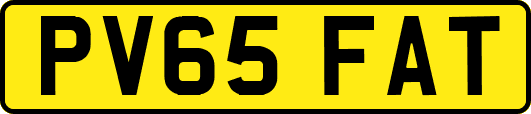 PV65FAT