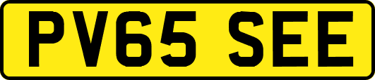 PV65SEE