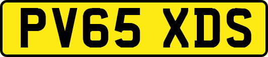 PV65XDS