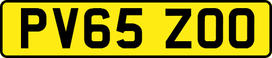 PV65ZOO