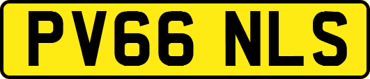 PV66NLS