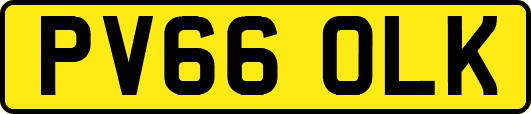 PV66OLK