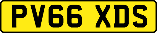 PV66XDS