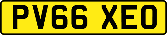 PV66XEO