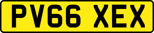 PV66XEX