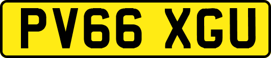 PV66XGU