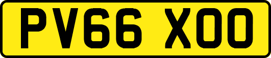 PV66XOO