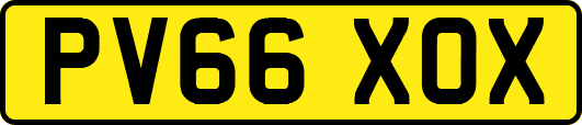 PV66XOX