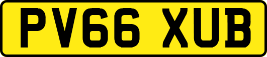 PV66XUB