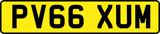 PV66XUM
