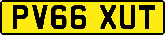 PV66XUT
