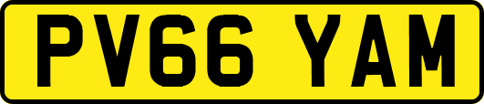 PV66YAM