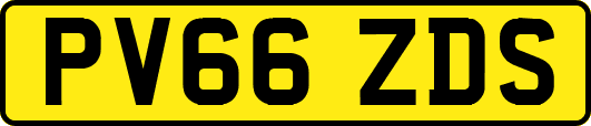 PV66ZDS