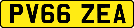 PV66ZEA