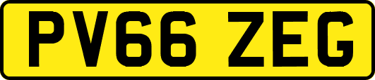 PV66ZEG