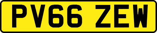 PV66ZEW