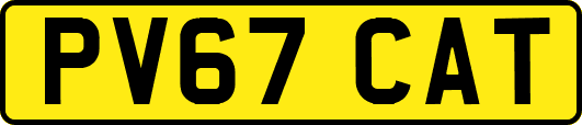 PV67CAT