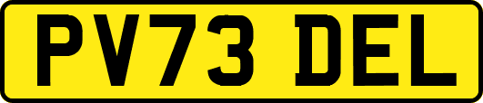 PV73DEL