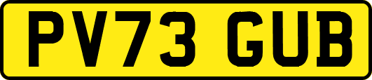 PV73GUB