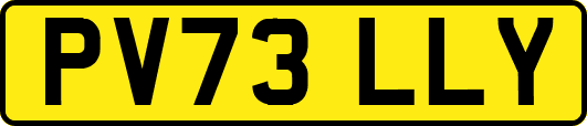PV73LLY