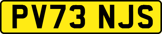 PV73NJS