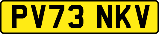 PV73NKV