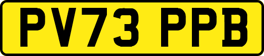 PV73PPB