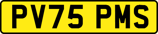 PV75PMS