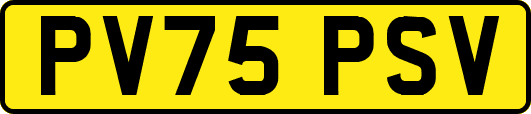 PV75PSV