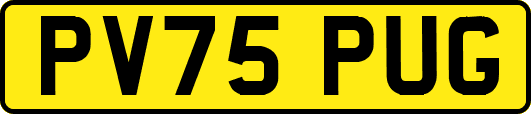 PV75PUG