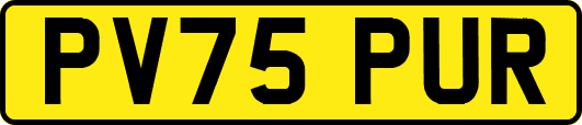 PV75PUR