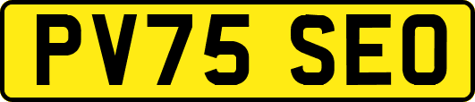 PV75SEO
