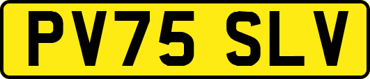 PV75SLV