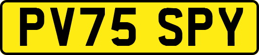 PV75SPY
