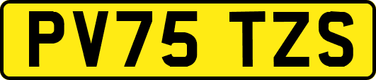 PV75TZS