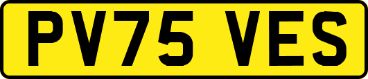 PV75VES