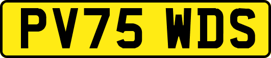 PV75WDS